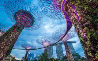 blockchain-singapore-energy