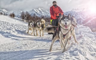 robotics-drones-Alaska