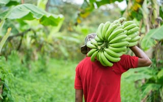 big-data-malnutrition