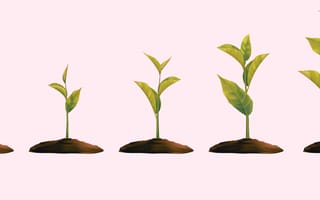 design mentorships