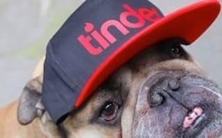 Online dating's big IPO includes Tinder, OKCupid and Match.com