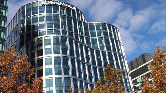 Company Office