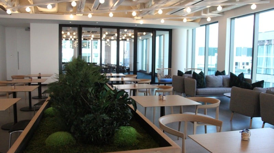 Company Office