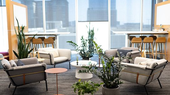 Company Office