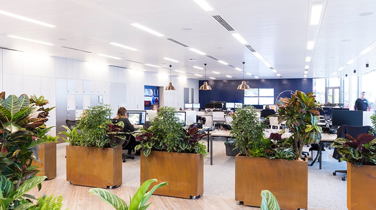 Company Office