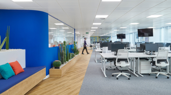Company Office