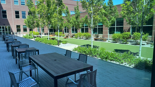 Company Office