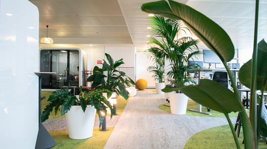 Company Office