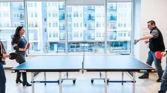 Company Office