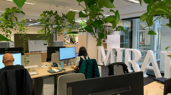 Company Office