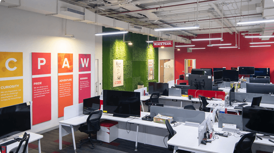 Company Office