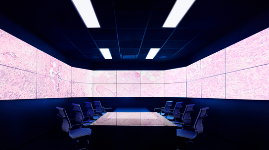 Company Office Image