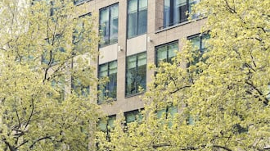Company Office