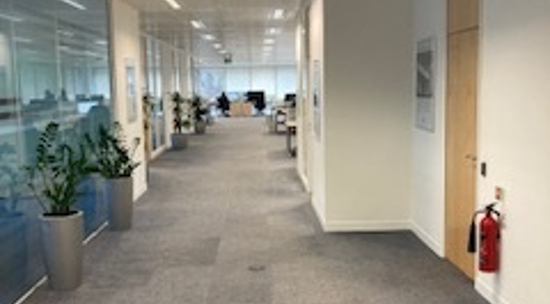gallery