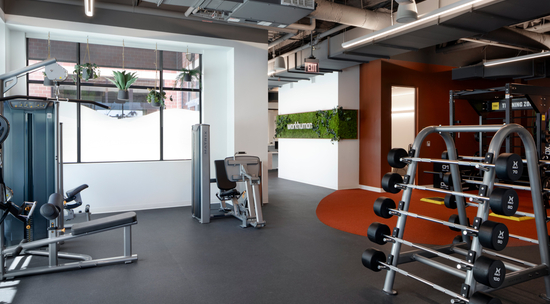 gallery