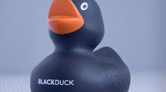 Black Duck Software