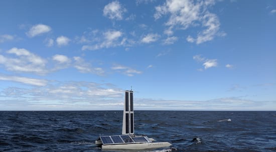 Autonomous Marine Systems