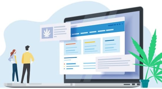 MjSeo Agency