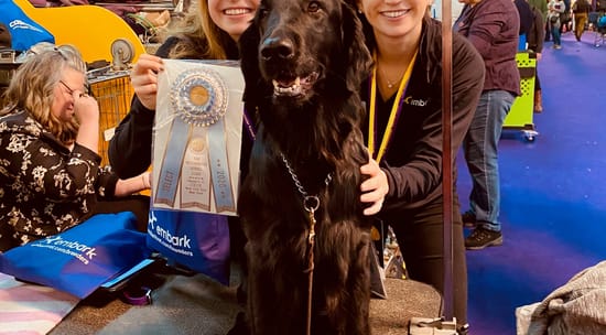 Embark Veterinary