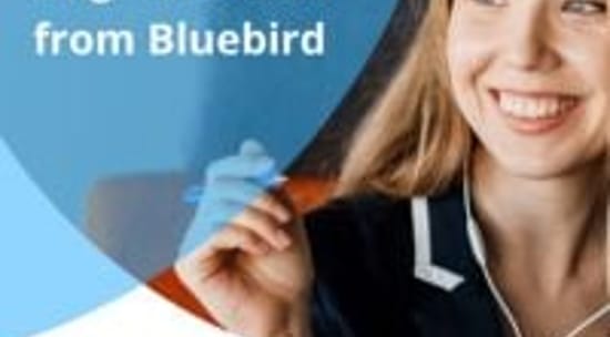 Bluebird International