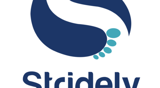 Stridely Solutions