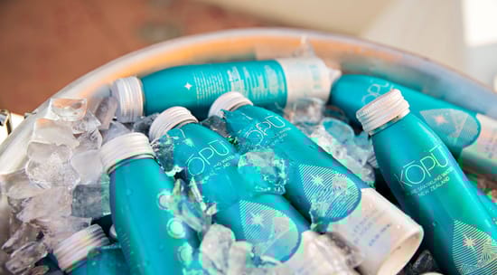 The Kopu Water Company