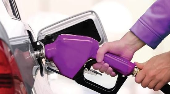 Purple Services Inc
