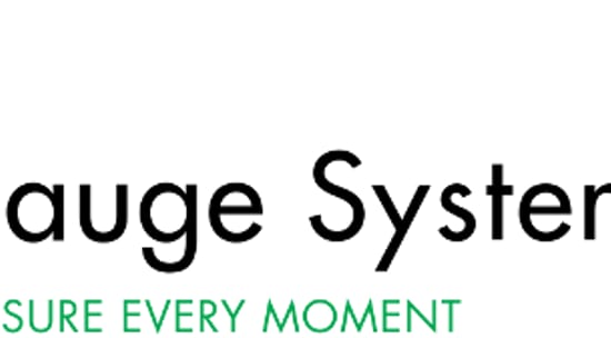 eGauge Systems LLC