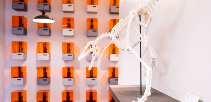 3D printed dinosaur skeleton with printer wall in the background