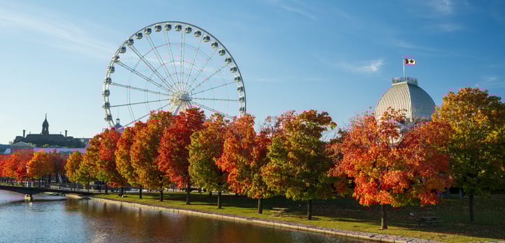 Photo: Shutterstock