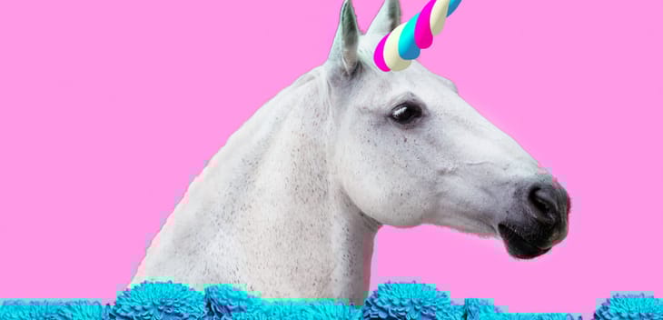 For women-founded unicorns, 2019 is shaping up to be the best year ever