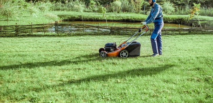 LawnStarter Raises $10.5M to Become the TaskRabbit of Lawn Care