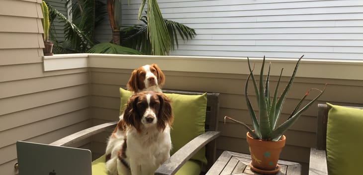 How to Make the Most of Remote Work