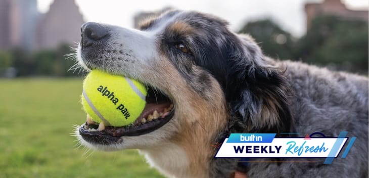 Alpha Paw Raised $8M, Lendflow Got $10.8M, and Other Austin Tech News