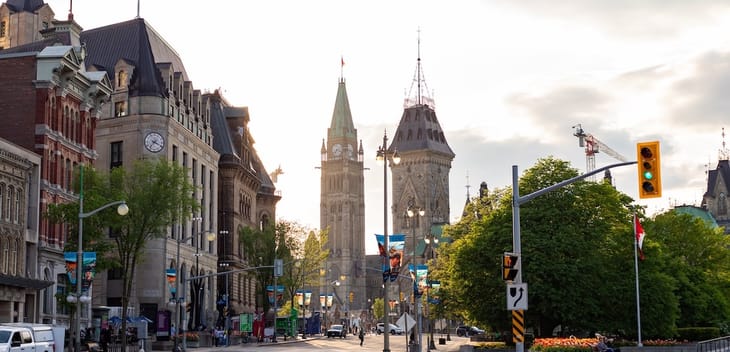 Image: Iryna Tolmachova / Shutterstock