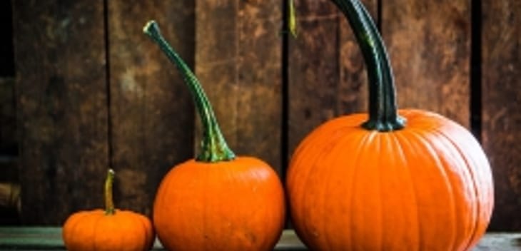 5 Tasks to Tackle at the Start of Fall