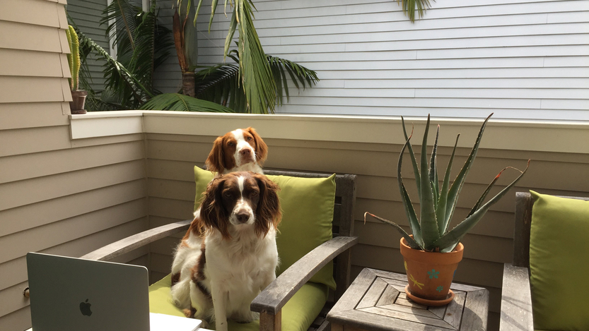 How to Make the Most of Remote Work