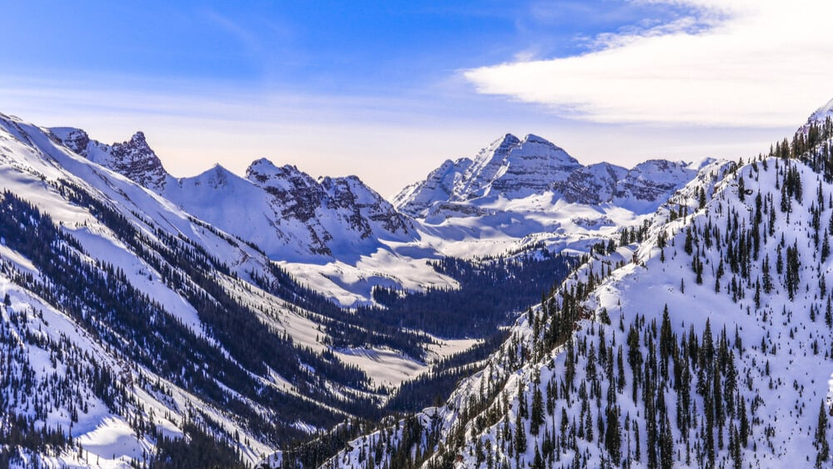 Photo: Shutterstock