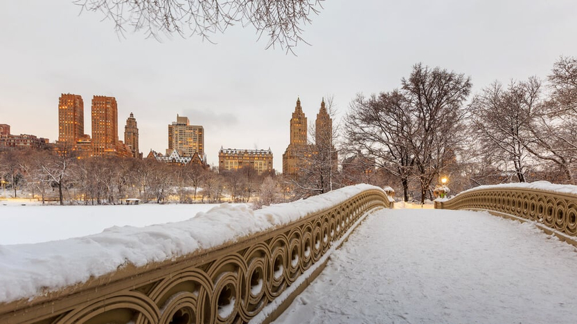 Photo: Shutterstock