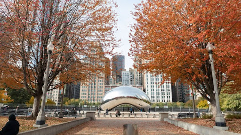 Article image Article image