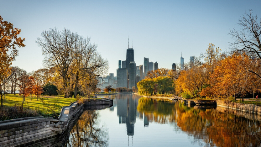 Article image Article image