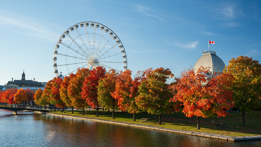 Photo: Shutterstock