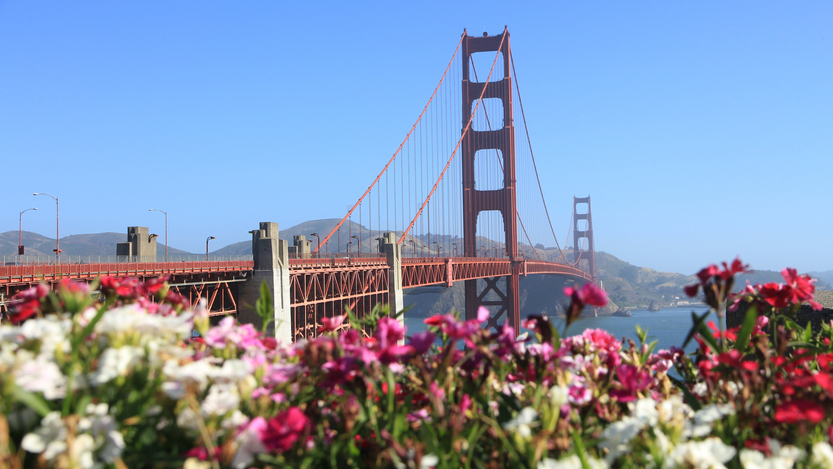 Photo: Shutterstock