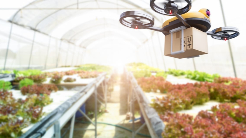 Photo: Shutterstock Photo: Shutterstock