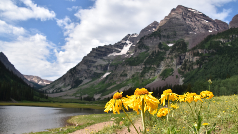 Photo: Shutterstock
