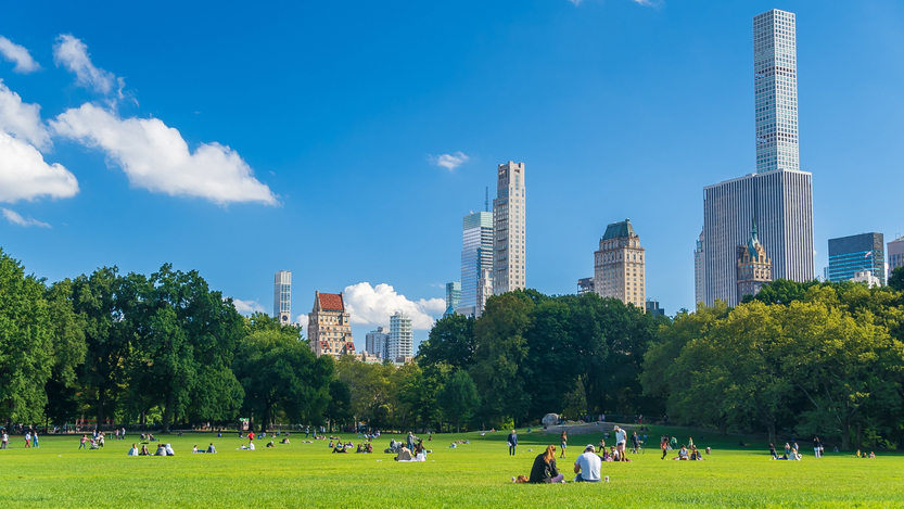 Photo: Shutterstock