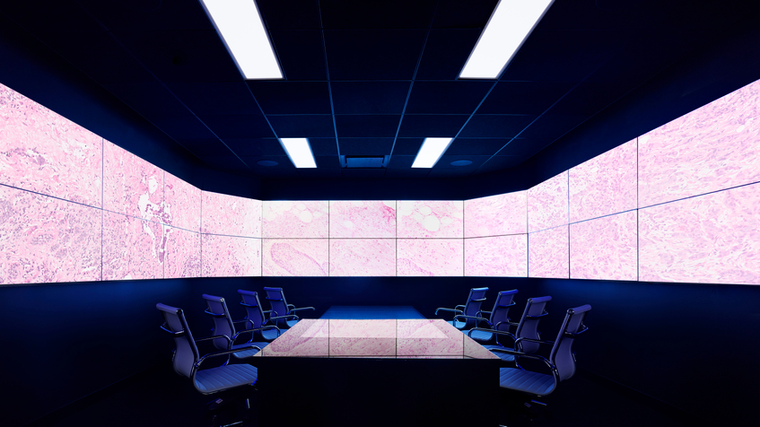 gallery