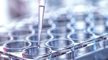 AMPLY Discovery Secures 1.75M Seed Funding Round Thumbnail