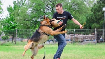 Austin Dog Training Thumbnail