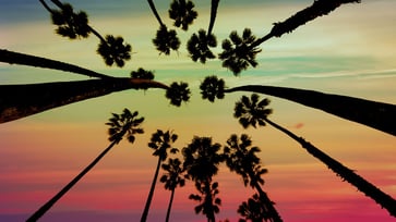 13 Playa Vista Tech Companies to Keep on Your Radar Thumbnail